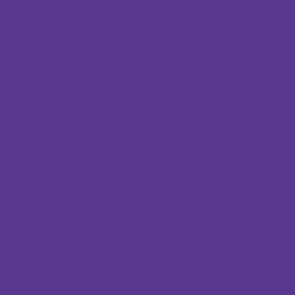 Vallejo Game Color Ink Violet 72087