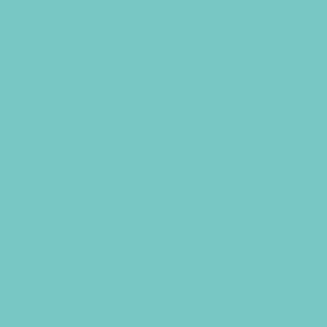 Vallejo Game Color Game Effects Verdigris 72135