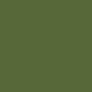 Vallejo Game Color Extra Opaque Heavy Green 72146