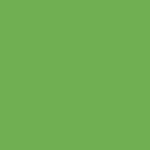 Vallejo Game Color Wash Green 73205